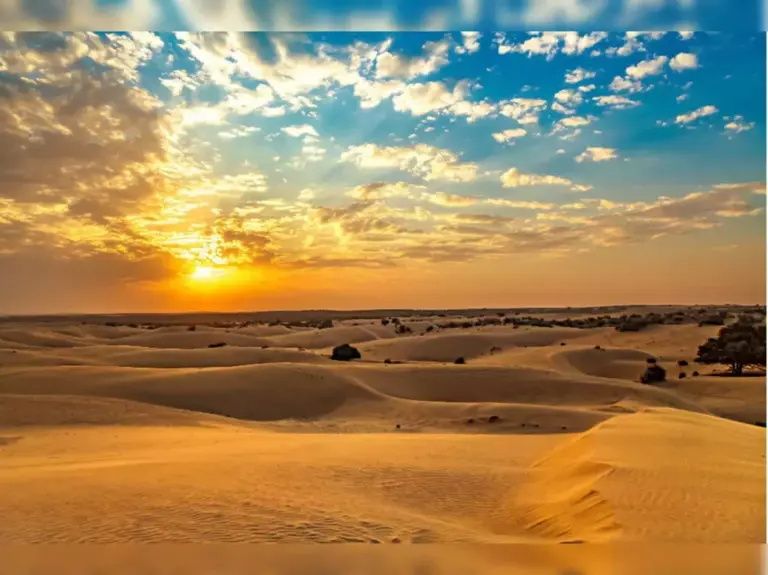 The Thar Desert: A Blend of Culture, Camels, and Colorful Dunes