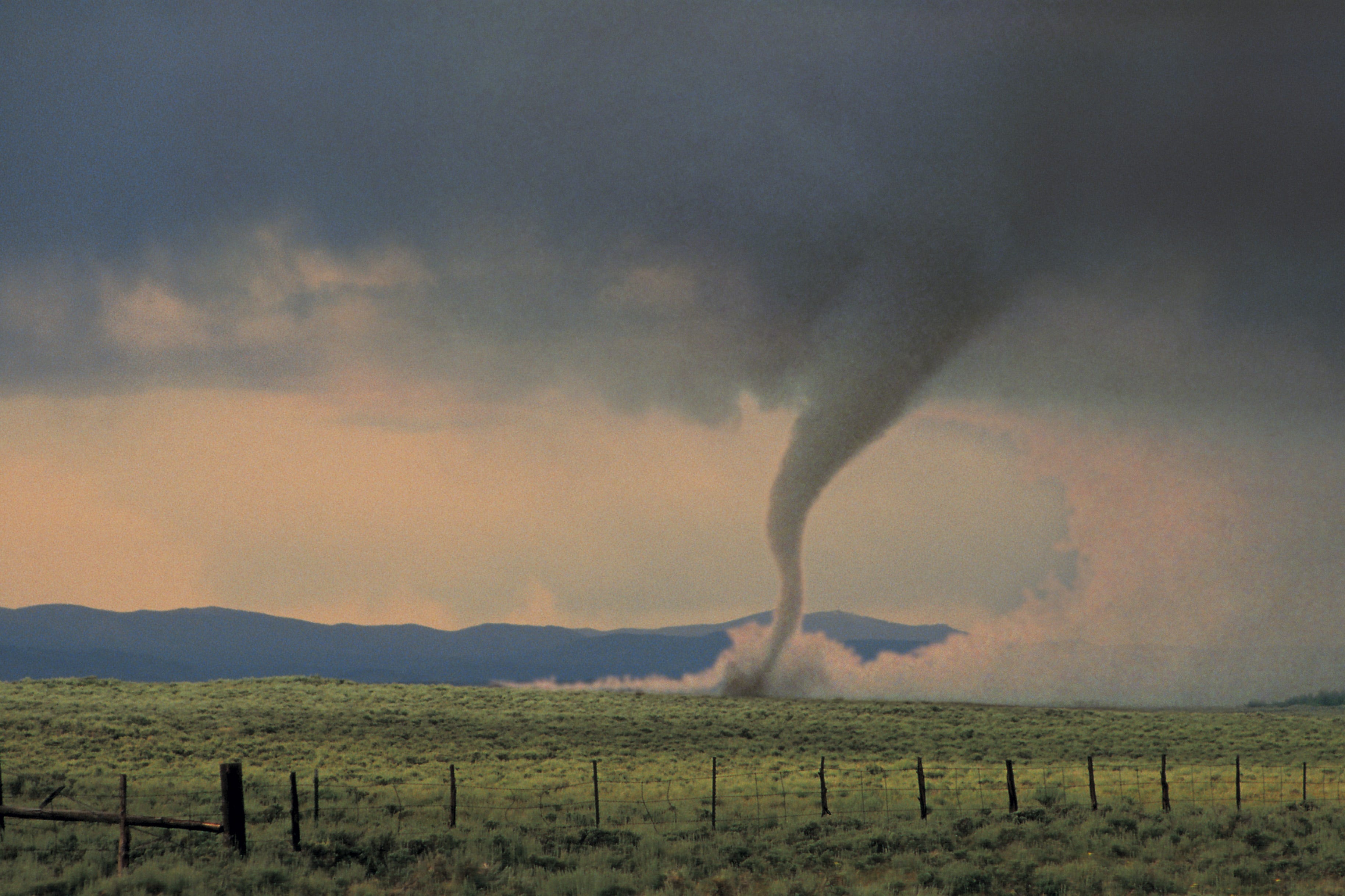 New York has seen more than 500 tornadoes since 1950. See where