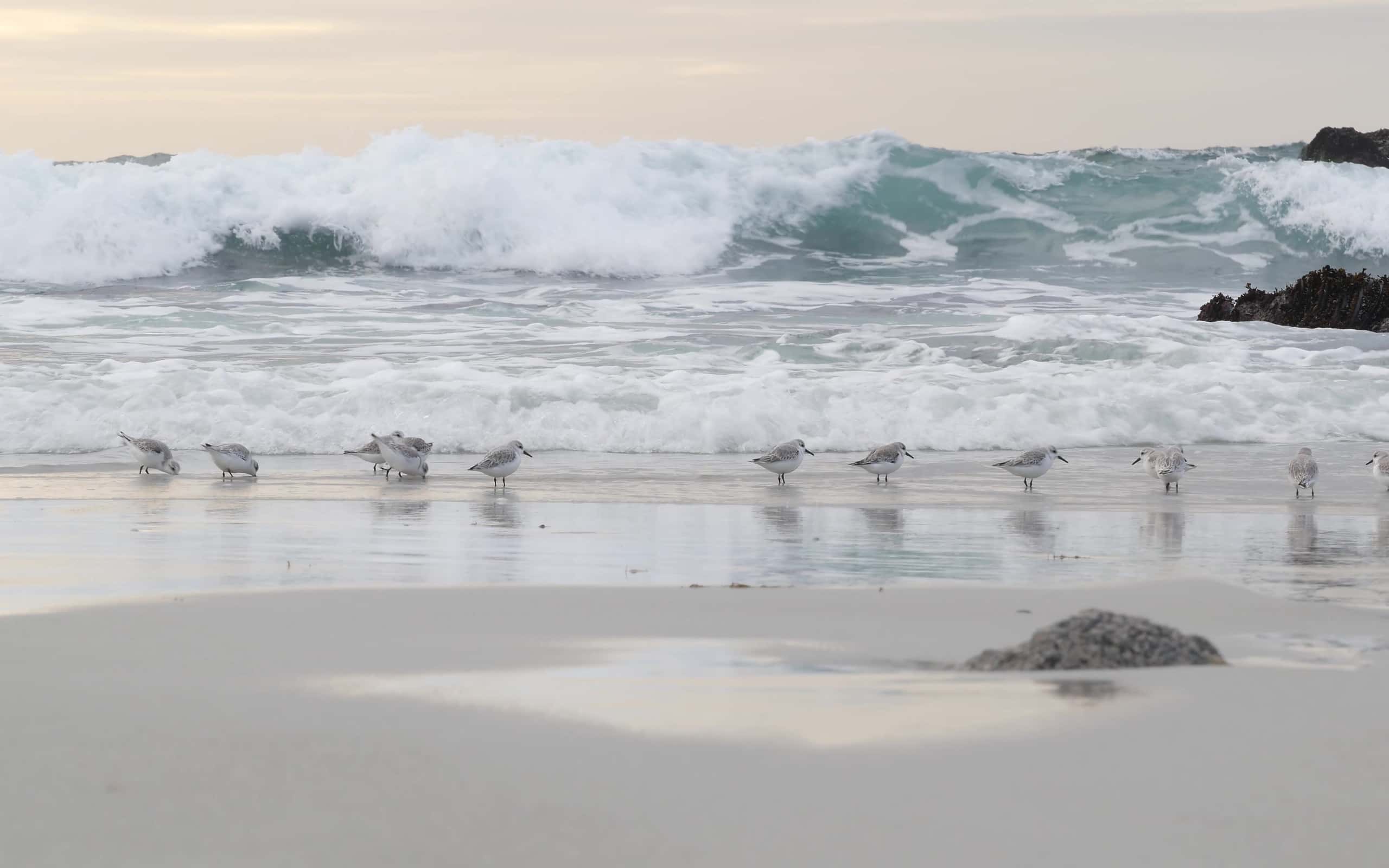 The 6 Most Dangerous Parts of the Ocean