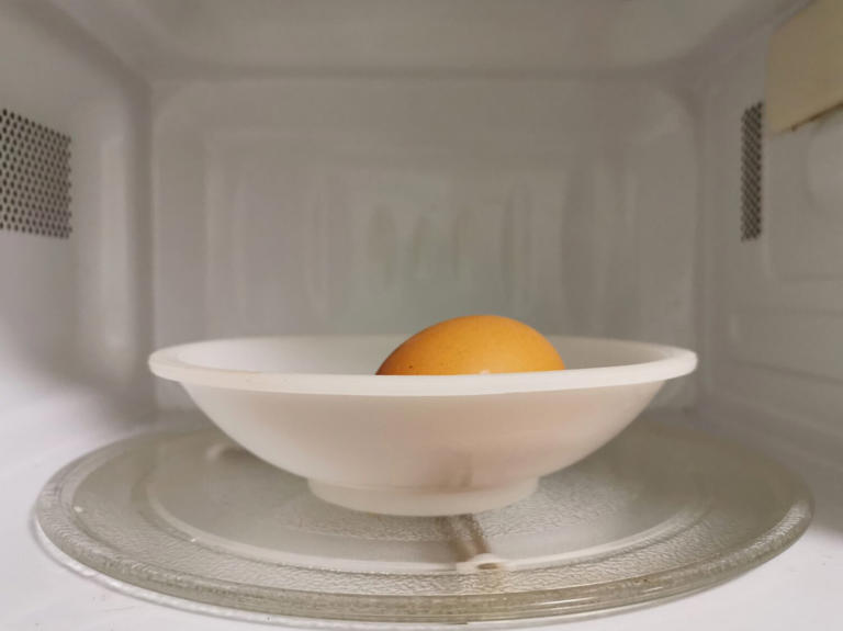 How to Microwave a Fried Egg