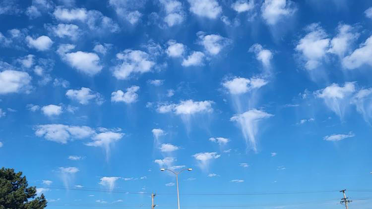 Portland area is seeing jellyfish clouds. What's that mean for the ...