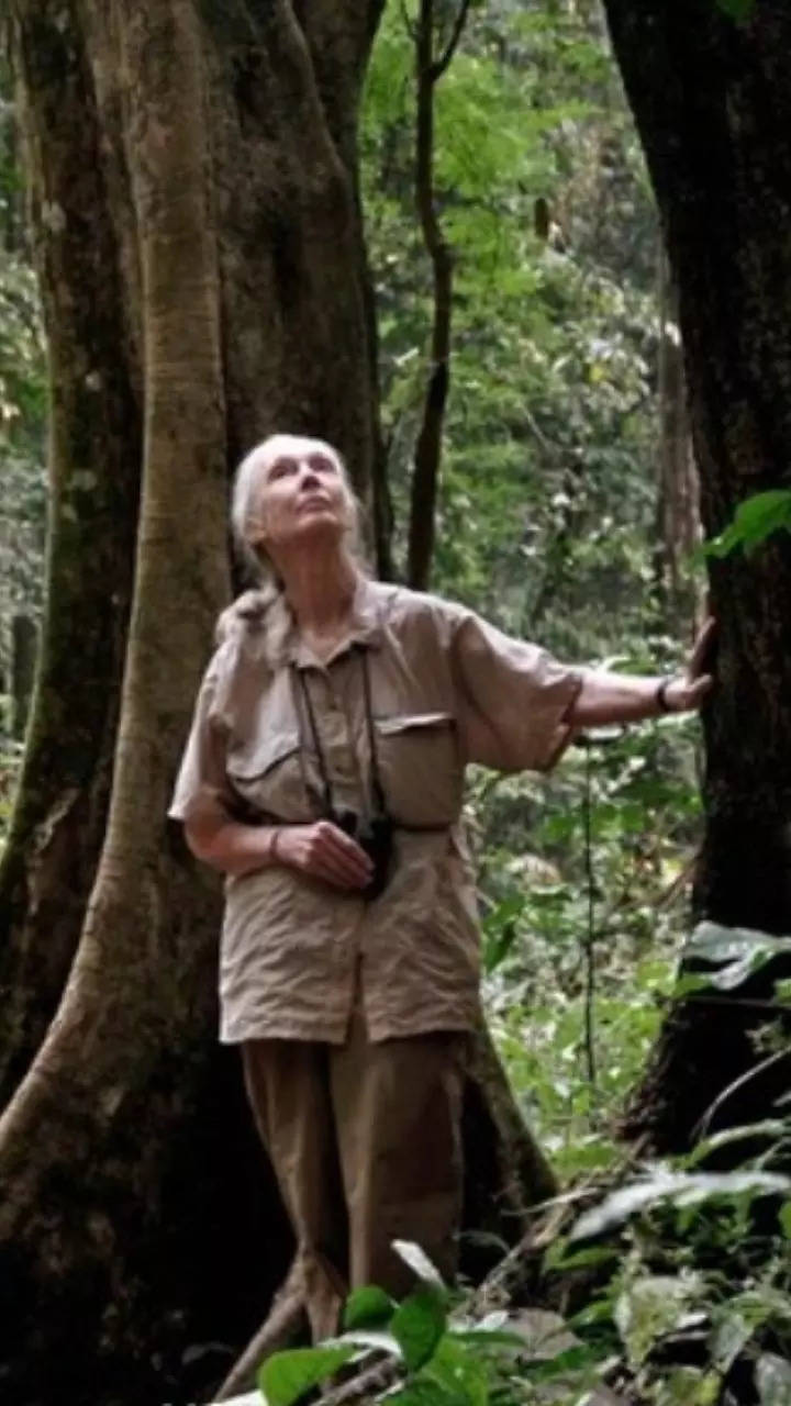 Profound quotes by Dr Jane Goodall