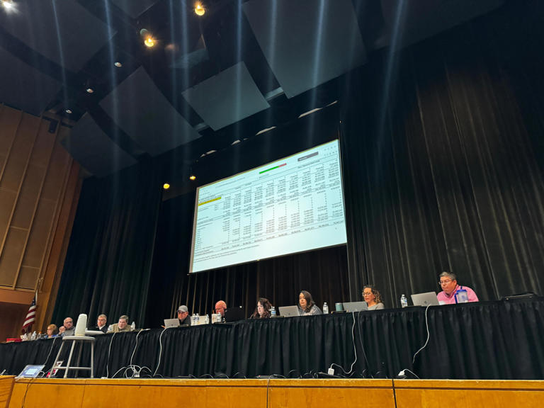 Palmyra Area School District heard presentation from PFM and RLPS in the first steps of borrowing and planning for option Four of the feasibility study.