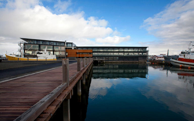 The Viking Maritime Museum is just one of the attractions of the regenerated harbour