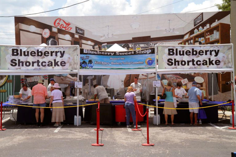 ‘We are very sorry’ Brooksville Blueberry Festival 2024 canceled