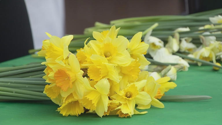 16th Annual Flower Festival - Pike Place Market