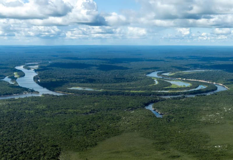 Deforestation in the Amazon region at its lowest level for six years