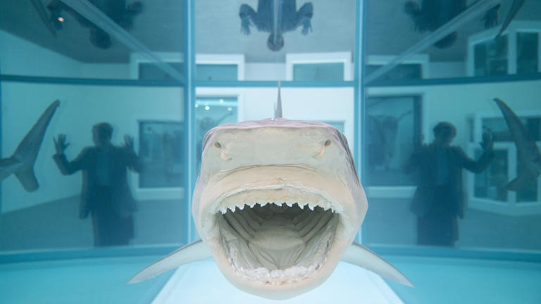 Los tiburones acechan a Damien Hirst: polémica por falsear la fecha de  varias de sus obras