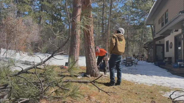 Douglas County arborists busy with tree cleanup days after massive ...