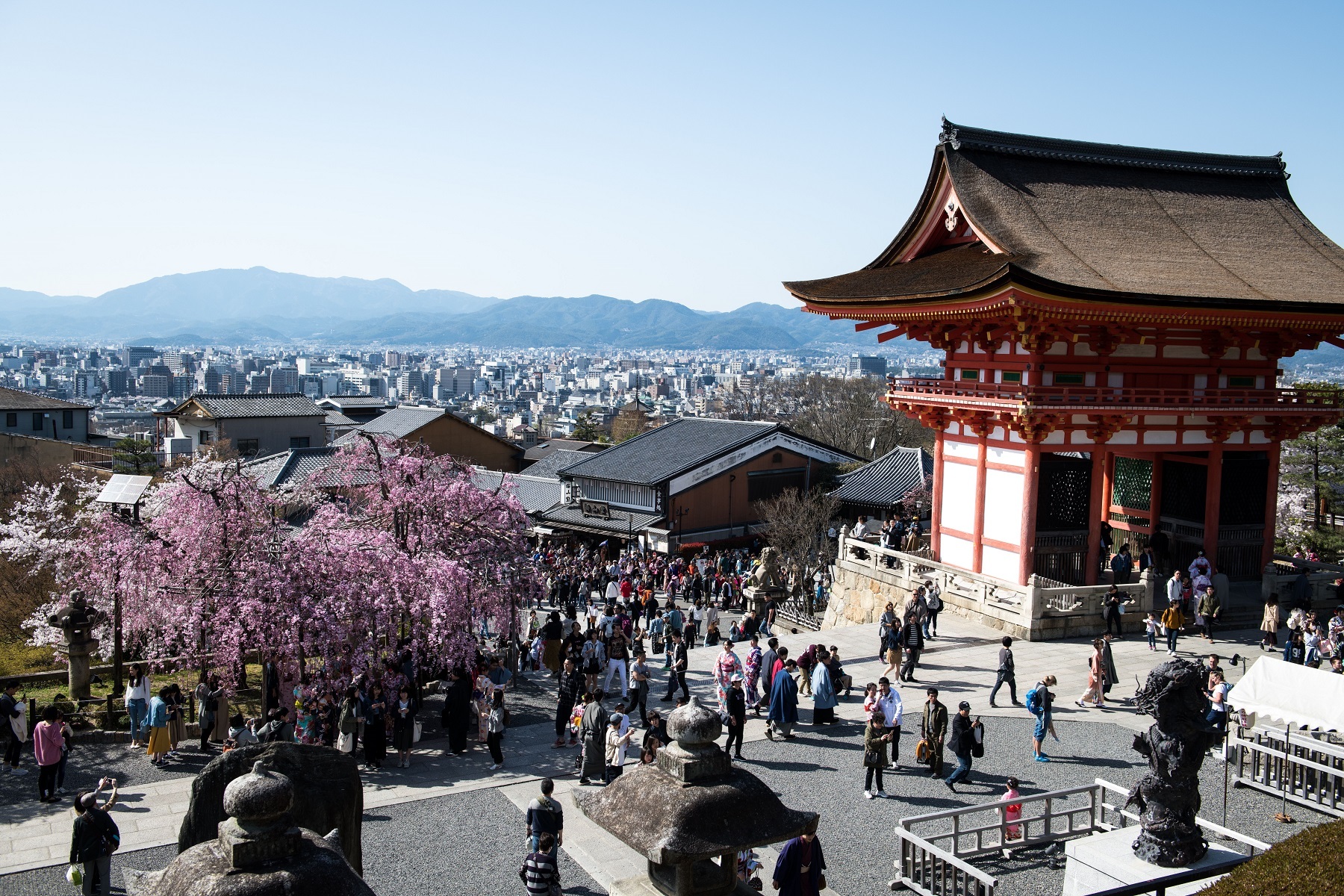 <p>One of the most celebrated temples in Japan, <a href="http://www.kiyomizudera.or.jp/en/">Kiyomizu-dera</a> (or “Pure Water Temple”) was established in 778 CE. The UNESCO World Heritage Site’s highlight is the main hall, where pilgrims gather to worship at a statue of the temple’s deity, Kannon (or “goddess”) with 11 faces and 42 arms. </p><p>The temple’s wooden stage—perched 13 metres (43 feet) above the hillside—overlooks a beautiful view of cherry and maple trees. </p>
