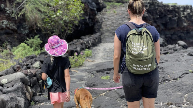 What is the shaka? Hawaii lawmakers want to officially claim 'hang ...