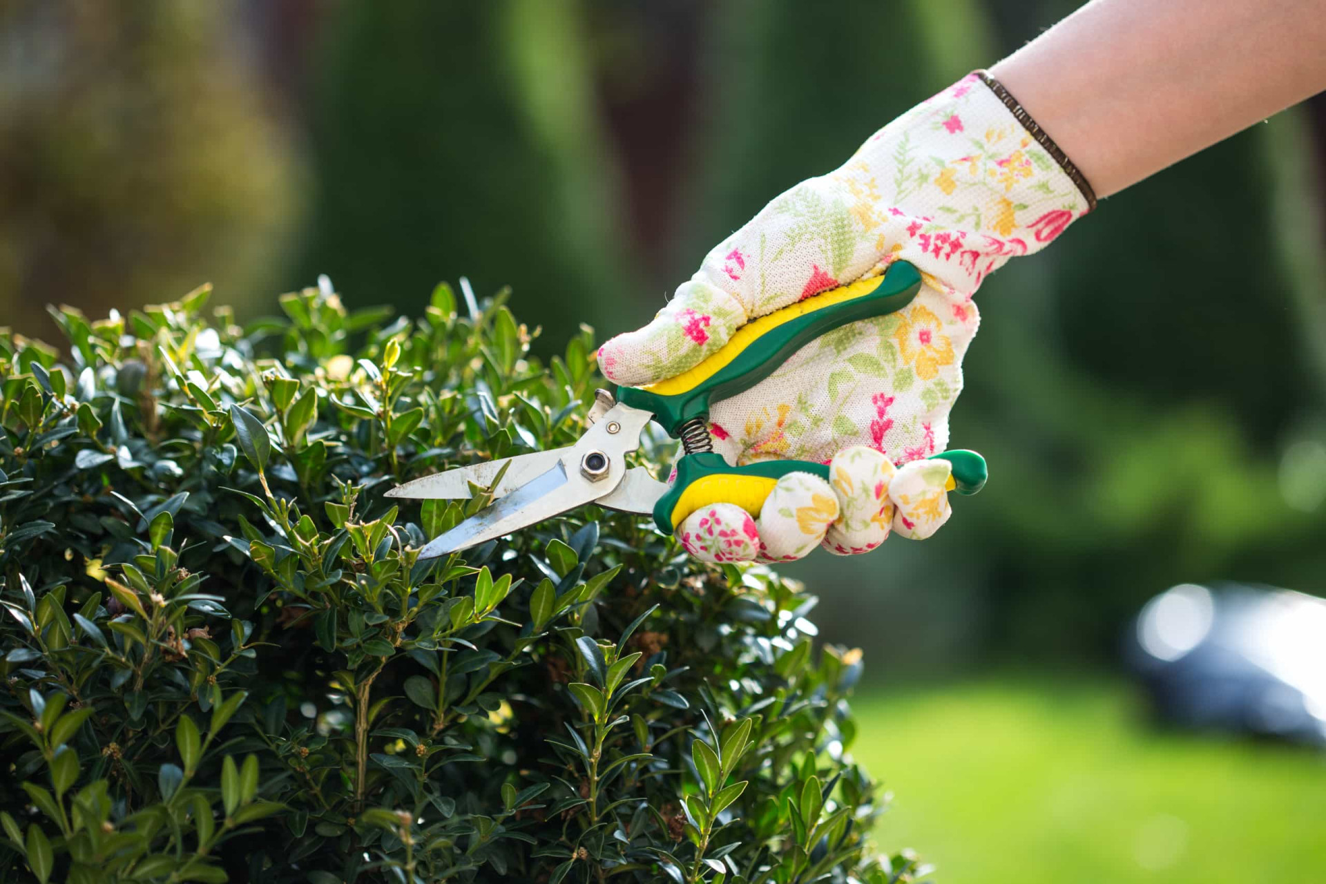 How to insect proof your home