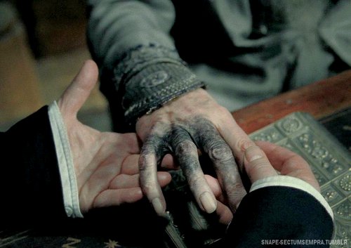 Dumbledore's Hand In the book, Dumbledore's withered hand serves as a pivotal plot point. However, in the film adaptation, this aspect of the story was downplayed to focus more on other narrative elements.]]>