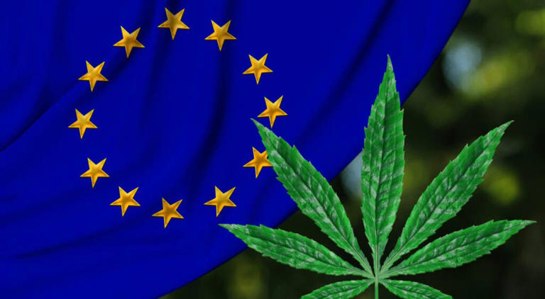 Switzerland Launches Cannabis Study With 7.5k Participants & More Pot Updates In Europe