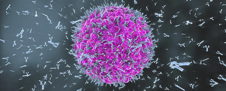 Scientists Find 'Switch' That Stops Immune System Attacking Healthy Cells