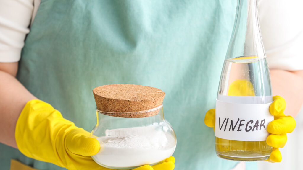 Homemade Gnat Traps That Are Surprisingly Effective