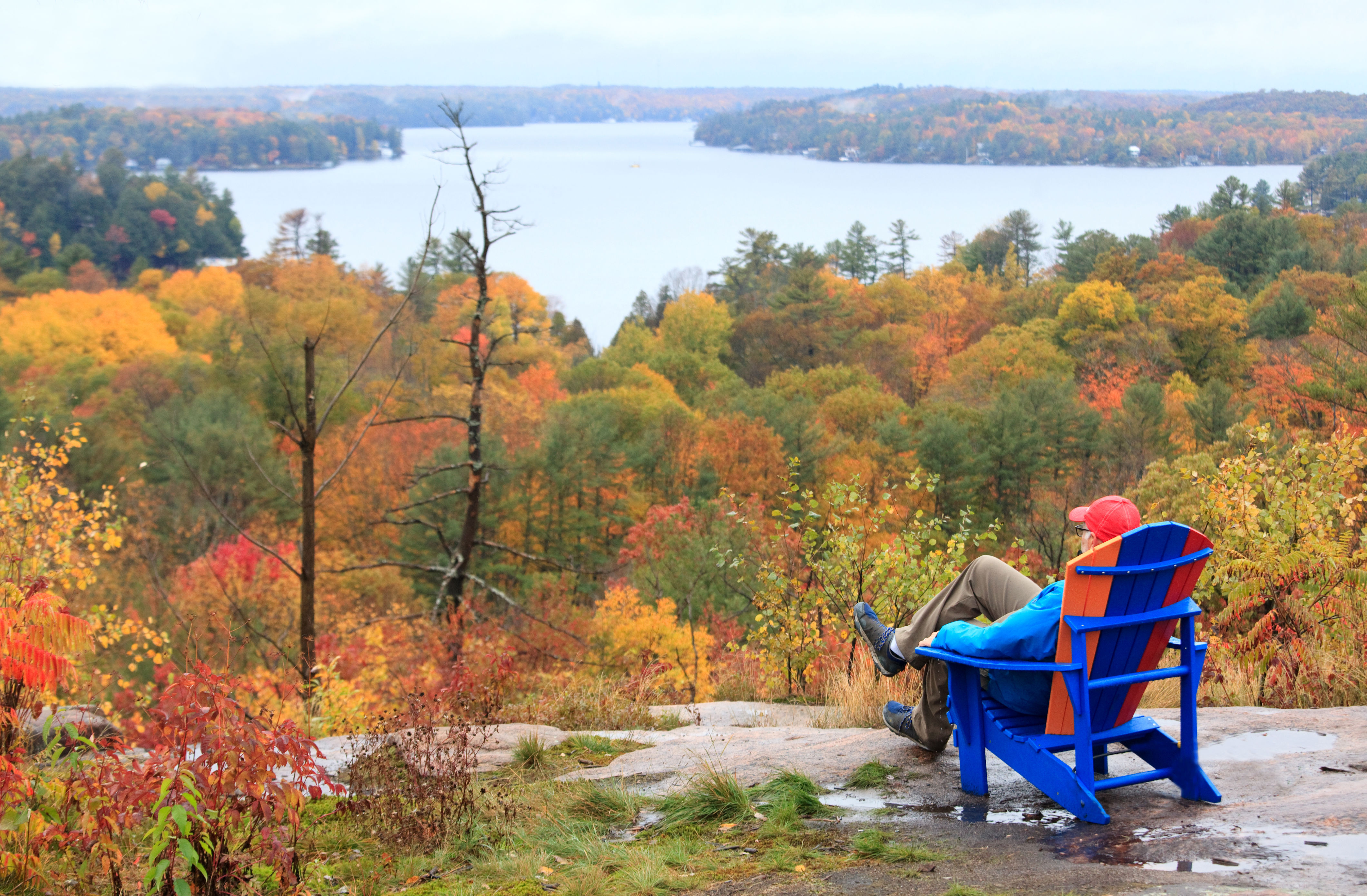 Canada Real Estate: Cottage Market Expected To Bounce Back In 2024 ...