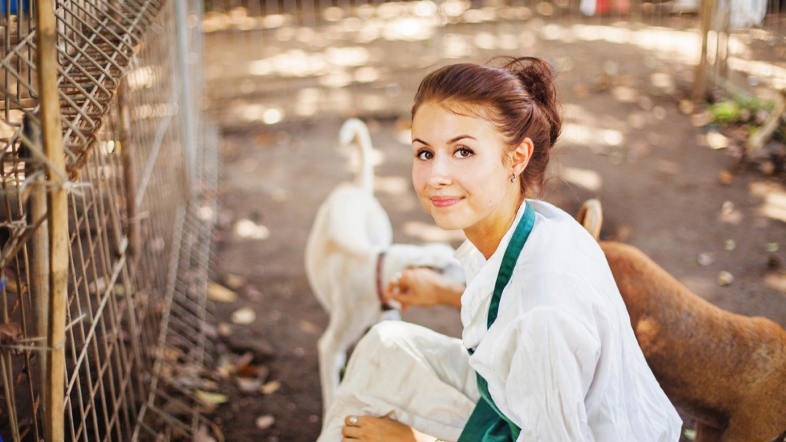 <p>Volunteering can become a rewarding hobby if you choose a charity genre that interests you. For example, volunteer at an animal charity or a wildlife center if you love pets. They always need help with the animals, such as feeding, exercising, cleaning out kennels and stalls, or raising vital funds.</p>