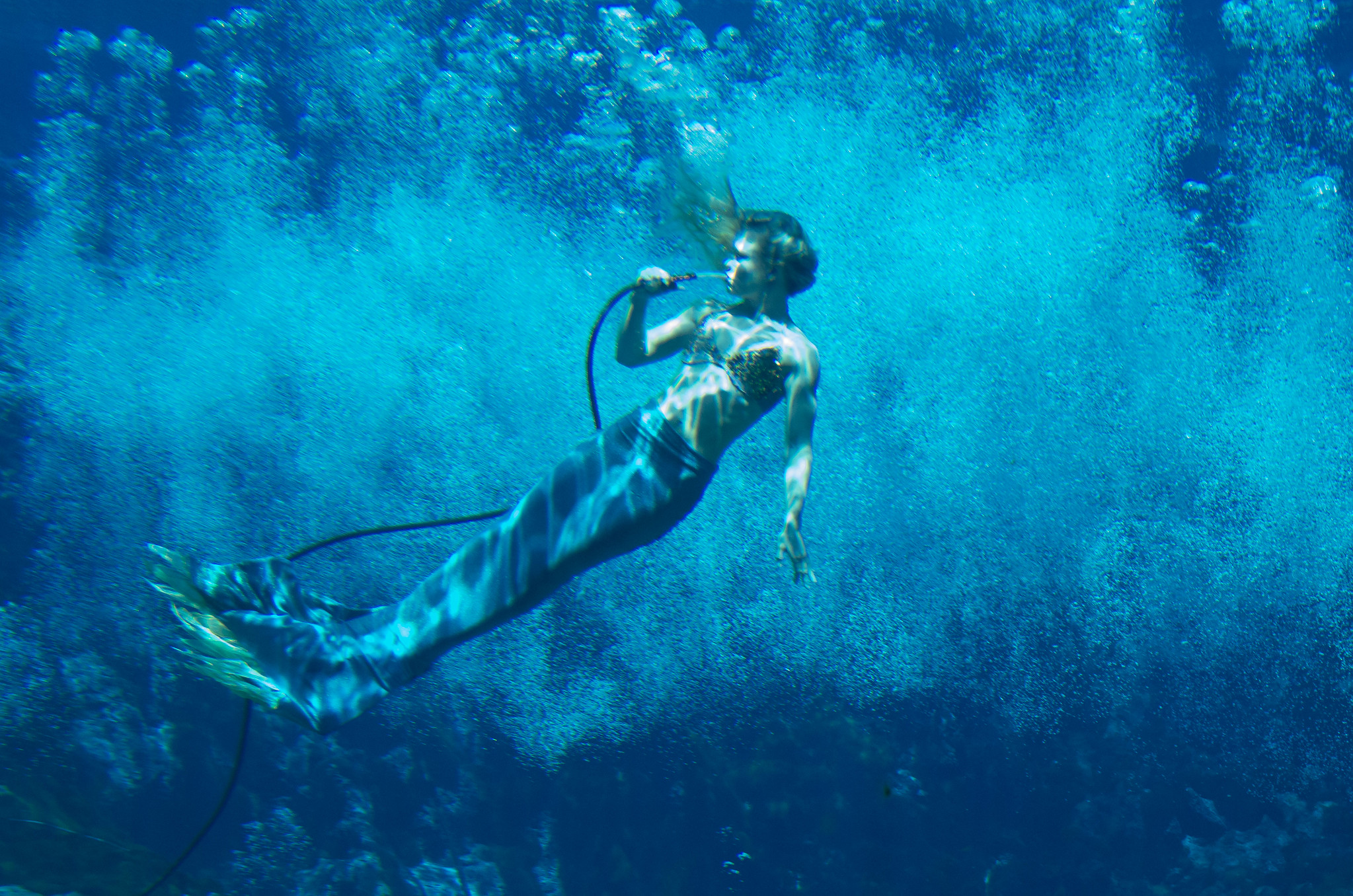<p>If you’ve ever wanted to see a mermaid, this one’s for you. Weeki Wachee Springs State Park has lots of natural water attractions, including waterslides and a river boat tour of the area. </p>  <p>But the most popular display here is the mermaid show at the underwater theater.</p>