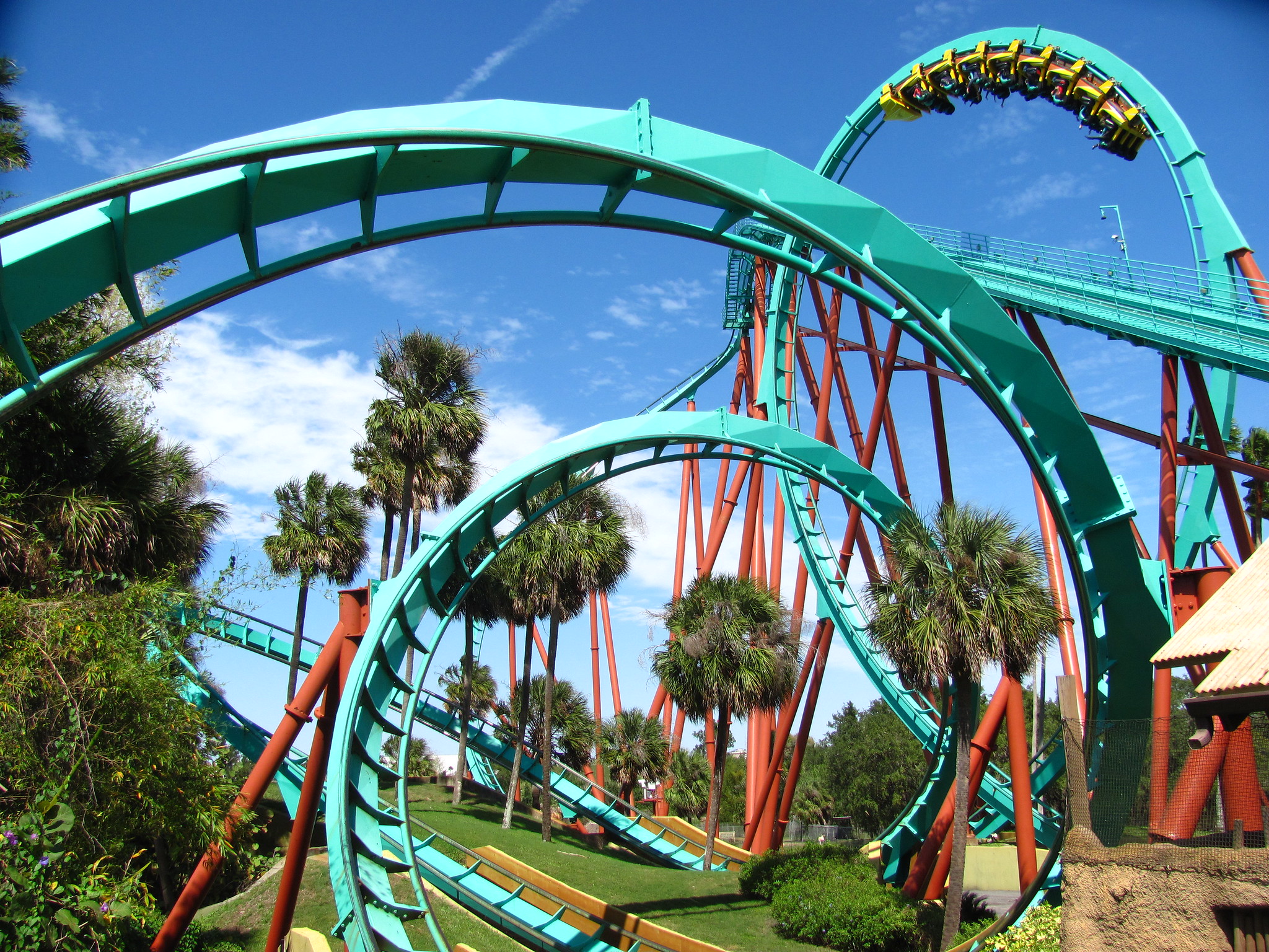 <p>This African theme park is one of Tampa’s most popular tourist attractions. It’s also <strong>one of the largest zoos in North America</strong>.</p>  <p> As well as standard enclosures which are home to animals like lions, tigers, and gorillas, people can also go on a safari ride to see animals like zebras, giraffes, and rhinos roaming free.</p>
