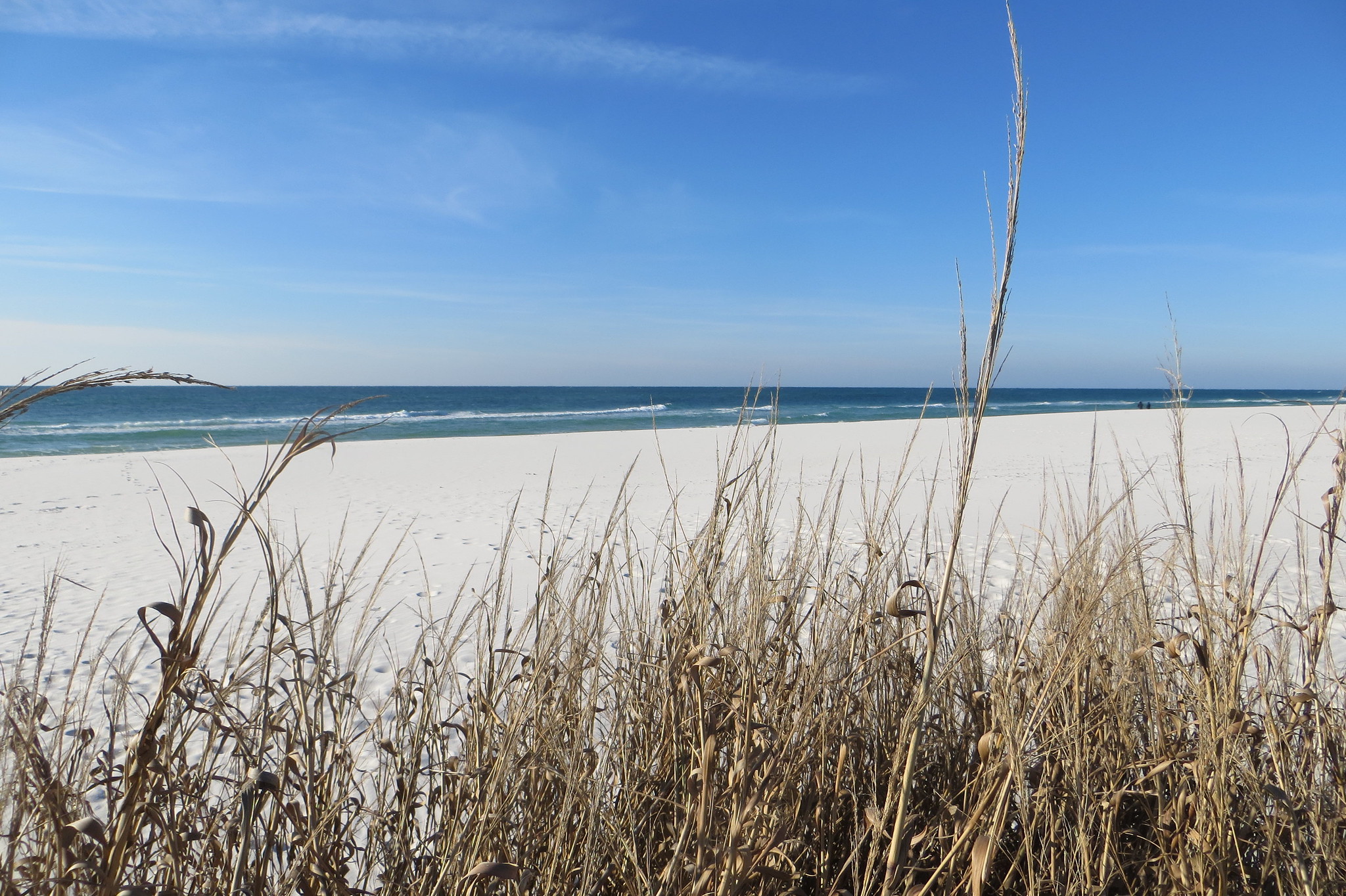 <p>Many of the beaches are part of the Gulf Island National Seashore, so they’re protected against widespread development. Because of that, visiting these beaches is a great chance to see natural, untouched seashore.</p>
