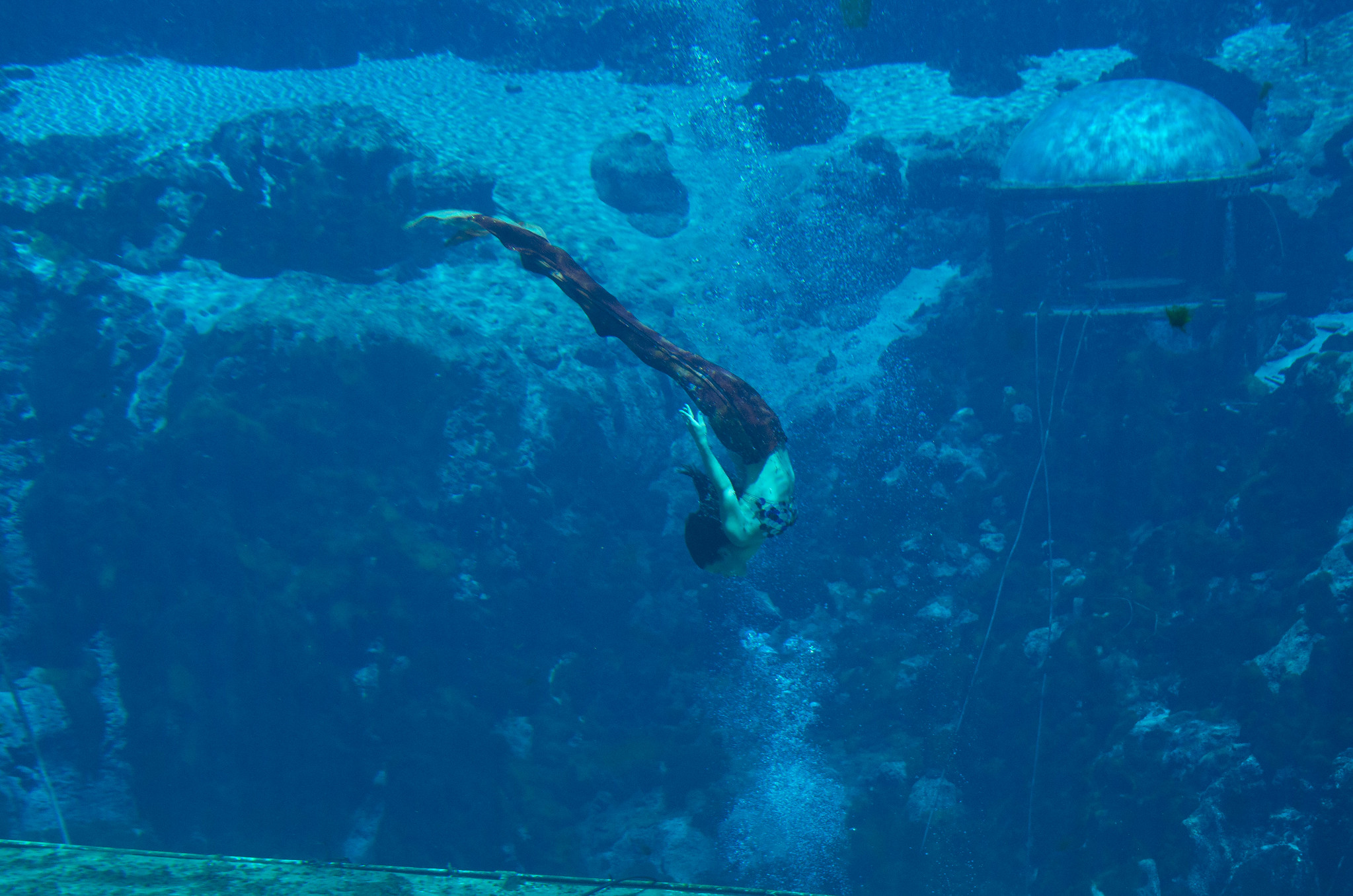 <p>Weeki Wachee’s mermaids have been putting on a show for more than 60 years. You can watch the performance in the underwater theater, which seats 400 visitors. </p>  <p>Though may seem a bit odd, the mermaid show is highly rated and well worth the visit.</p>