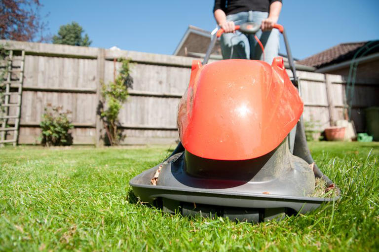 Gardening experts pinpoint exactly when to cut your grass for the first ...