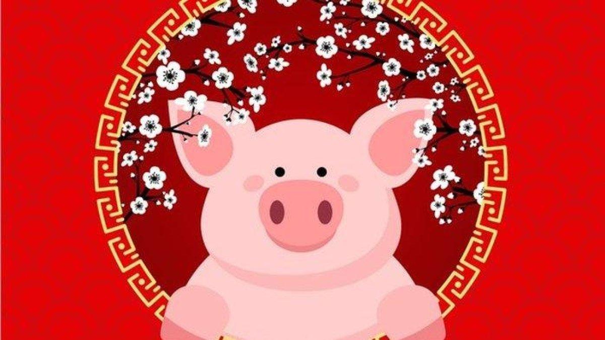 ramalan rezeki moncer shio besok jumat 3 mei 2024: babi bonus tak terduga,cuan tikus melimpah