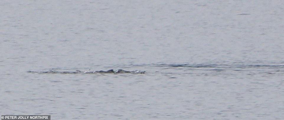 'Most compelling pictures yet' revealed of 'Loch Ness Monster'