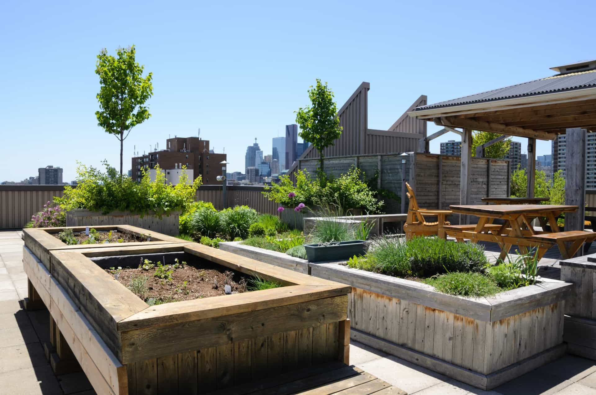 How To Create A Rooftop Garden