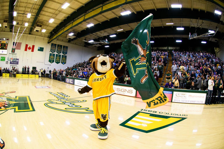 What is a Catamount? Explaining Vermont's nickname leading into 2024 ...