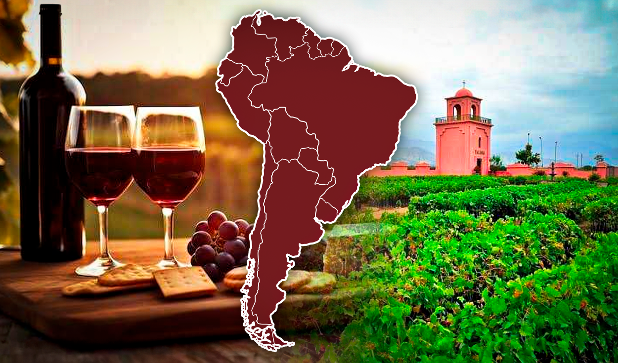 el viñedo más antiguo de sudamérica no está en chile ni en argentina: fue creado hace más de 480 años