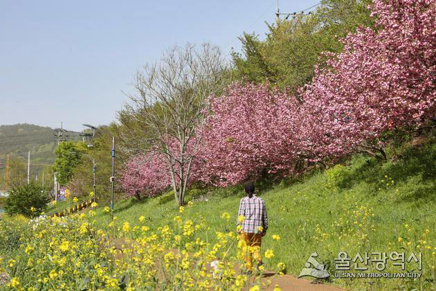 부울경(21일) 맑지만 여전히 추운 날씨내일 밤부터 곳에 따라 5~20mm 비 전망