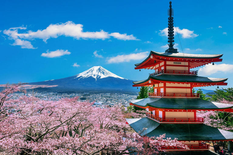 7 Best things to do in Japan in 2024 