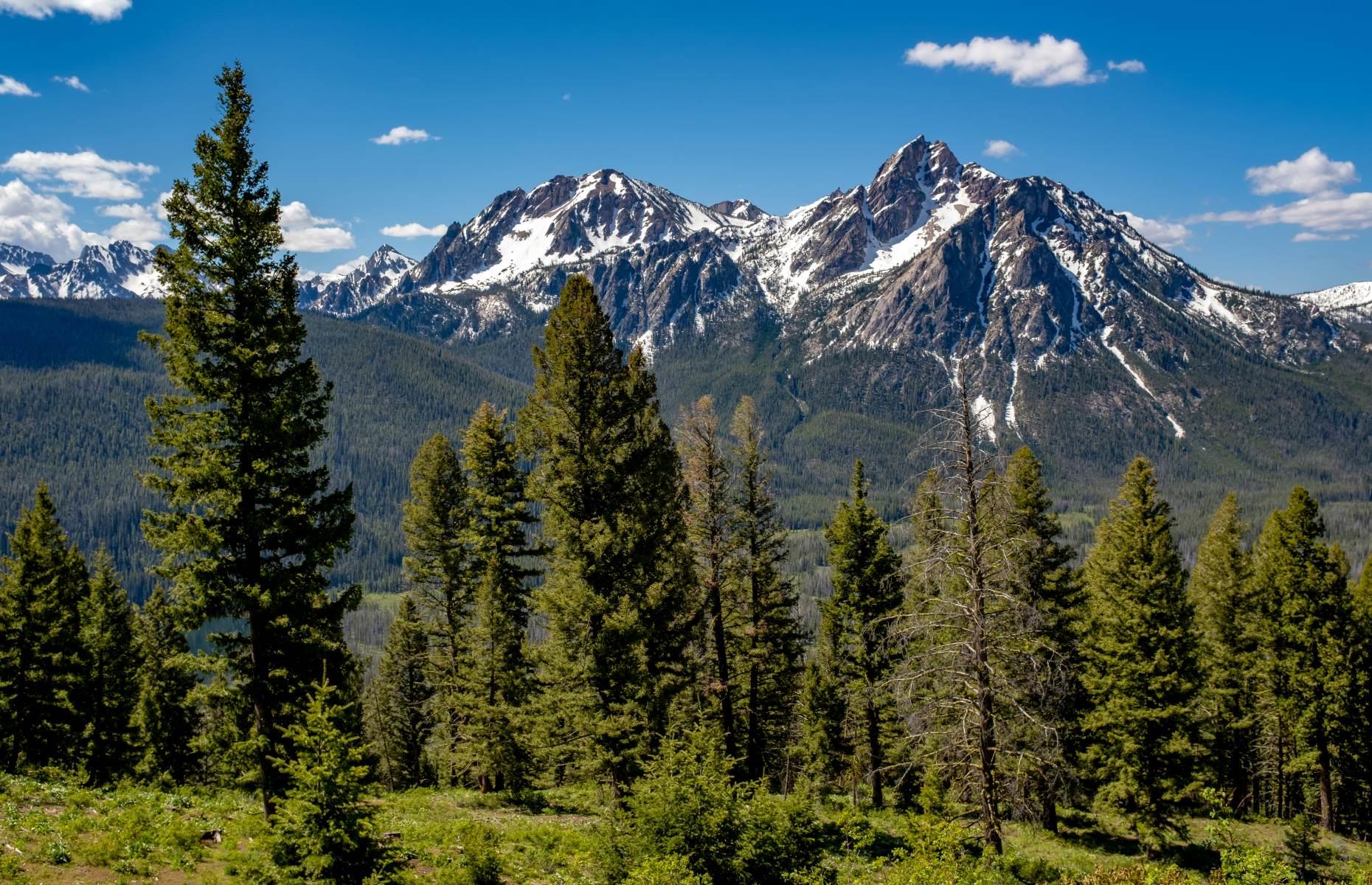 America's Most Stunning National Forests Ranked