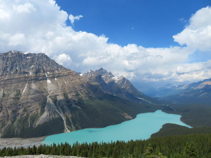 Peyto Lake is one of the most popular stops on the Icefields Parkway scenic road trip in Alberta