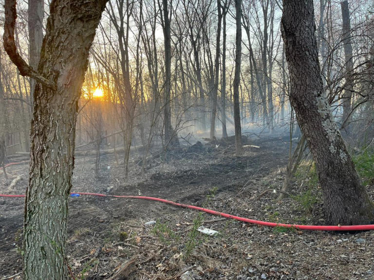 Crews Fighting Rapidly Growing Brush Fire In Montgomery County