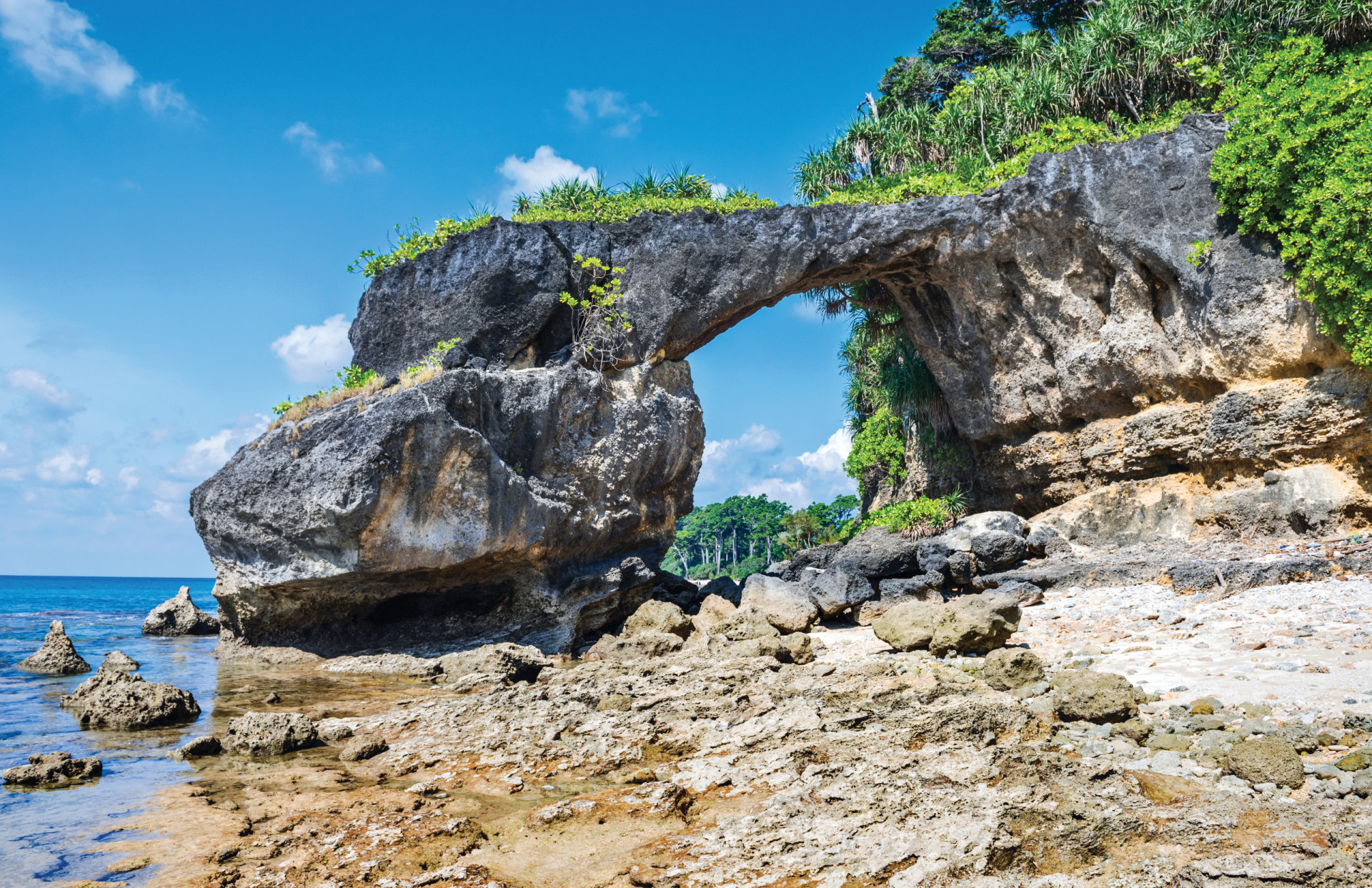 <p>Shaheed Dweep, previously known as Neil Island, is one of a cluster of small islands in Ritchie's Archipelago. The island is a low-key vacation destination easily explored by bicycle (it's that compact). The Hawrah Natural Bridge is a much photographed local landmark.</p><p>You may also like:<a href="https://www.starsinsider.com/n/393533?utm_source=msn.com&utm_medium=display&utm_campaign=referral_description&utm_content=689150en-nz"> Then and now: Hollywood's most iconic child stars</a></p>