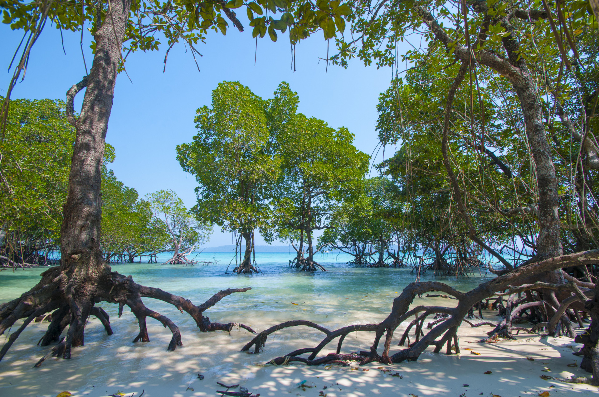 <p>The Andaman island of Swaraj Dweep, previously known as Havelock Island, is an eco-tourism hotspot. It has some of the best beaches in the region, notably Radhanagar Beach, Elephant Beach, and Kalapathar Beach.</p><p><a href="https://www.msn.com/en-my/community/channel/vid-7xx8mnucu55yw63we9va2gwr7uihbxwc68fxqp25x6tg4ftibpra?cvid=94631541bc0f4f89bfd59158d696ad7e">Follow us and access great exclusive content every day</a></p>