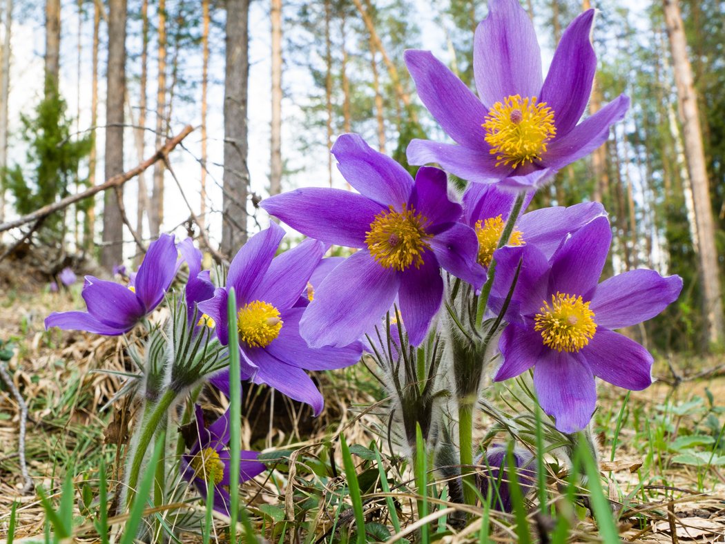 Wandern im Frühling: Deutschlands schönste Routen