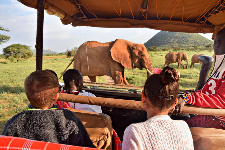 Quelle destination choisir pour un premier safari en Afrique avec les enfants ? Nos conseils pratiques.
