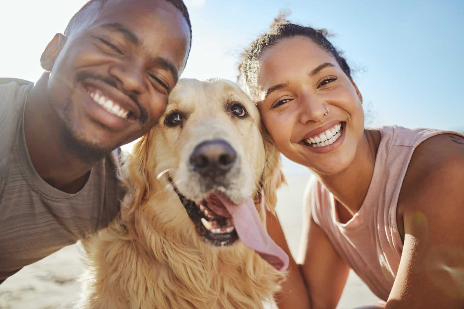 <p><span>Traveling with your pet enriches your journey with companionship and shared experiences. It requires careful planning and consideration for your pet’s needs, but the rewards are immense. As you explore new destinations with your furry friend by your side, you’ll create unforgettable memories and deepen your bond.</span></p> <p><span>Remember to prioritize your pet’s comfort and safety and embrace the adventure of discovering the world together. Your travels with your pet allow you to see new places in a way that brings joy and excitement to both of you.</span></p> <p><span>More Articles Like This…</span></p> <p><a href="https://thegreenvoyage.com/barcelona-discover-the-top-10-beach-clubs/"><span>Barcelona: Discover the Top 10 Beach Clubs</span></a></p> <p><a href="https://thegreenvoyage.com/top-destination-cities-to-visit/"><span>2024 Global City Travel Guide – Your Passport to the World’s Top Destination Cities</span></a></p> <p><a href="https://thegreenvoyage.com/exploring-khao-yai-a-hidden-gem-of-thailand/"><span>Exploring Khao Yai 2024 – A Hidden Gem of Thailand</span></a></p> <p><span>The post <a href="https://passingthru.com/tips-when-traveling-with-your-pets/">10 Must-Know Tips When Traveling With Your Pets</a> republished on </span><a href="https://passingthru.com/"><span>Passing Thru</span></a><span> with permission from </span><a href="https://thegreenvoyage.com/"><span>The Green Voyage</span></a><span>.</span></p> <p><span>Featured Image Credit: Shutterstock / GFXShani.</span></p> <p><span>For transparency, this content was partly developed with AI assistance and carefully curated by an experienced editor to be informative and ensure accuracy.</span></p>