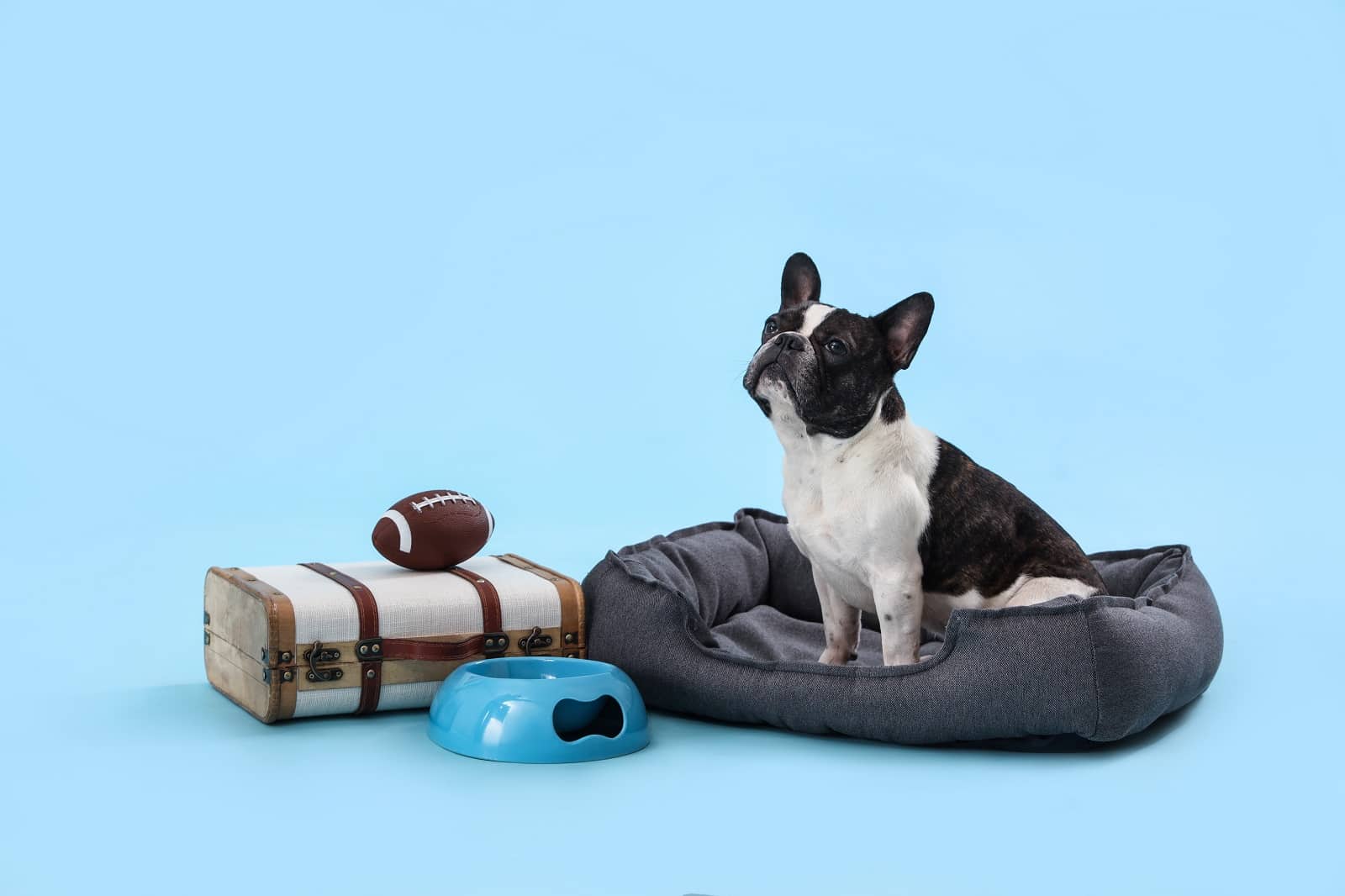 <p><span>Efficient packing is key to a stress-free trip with your pet. Create a checklist of essential items, including food, water, medications, toys, and grooming supplies. Consider the length of your trip and the availability of pet supplies at your destination. Pack items that will keep your pet comfortable and entertained, especially during long travel days.</span></p> <p><b>Insider’s Tip: </b><span>Bring a collapsible water bowl and portable pet bed for your travels.</span></p>