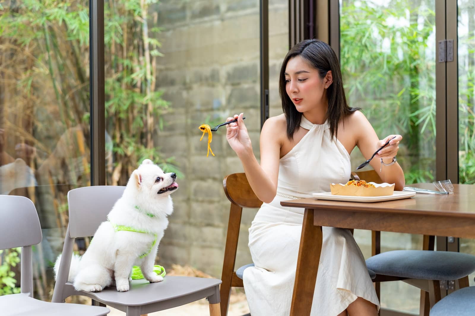 <p><span>Dining out with your pet can be a delightful experience if you find the right spots. Many cities have restaurants, cafes, and breweries that allow pets in outdoor seating areas. Some establishments may even offer special pet menus. Always call ahead to confirm pet policies and the availability of pet-friendly seating.</span></p> <p><b>Insider’s Tip: </b><span>Look for restaurants with spacious outdoor patios that are more likely to accommodate pets comfortably.</span></p>