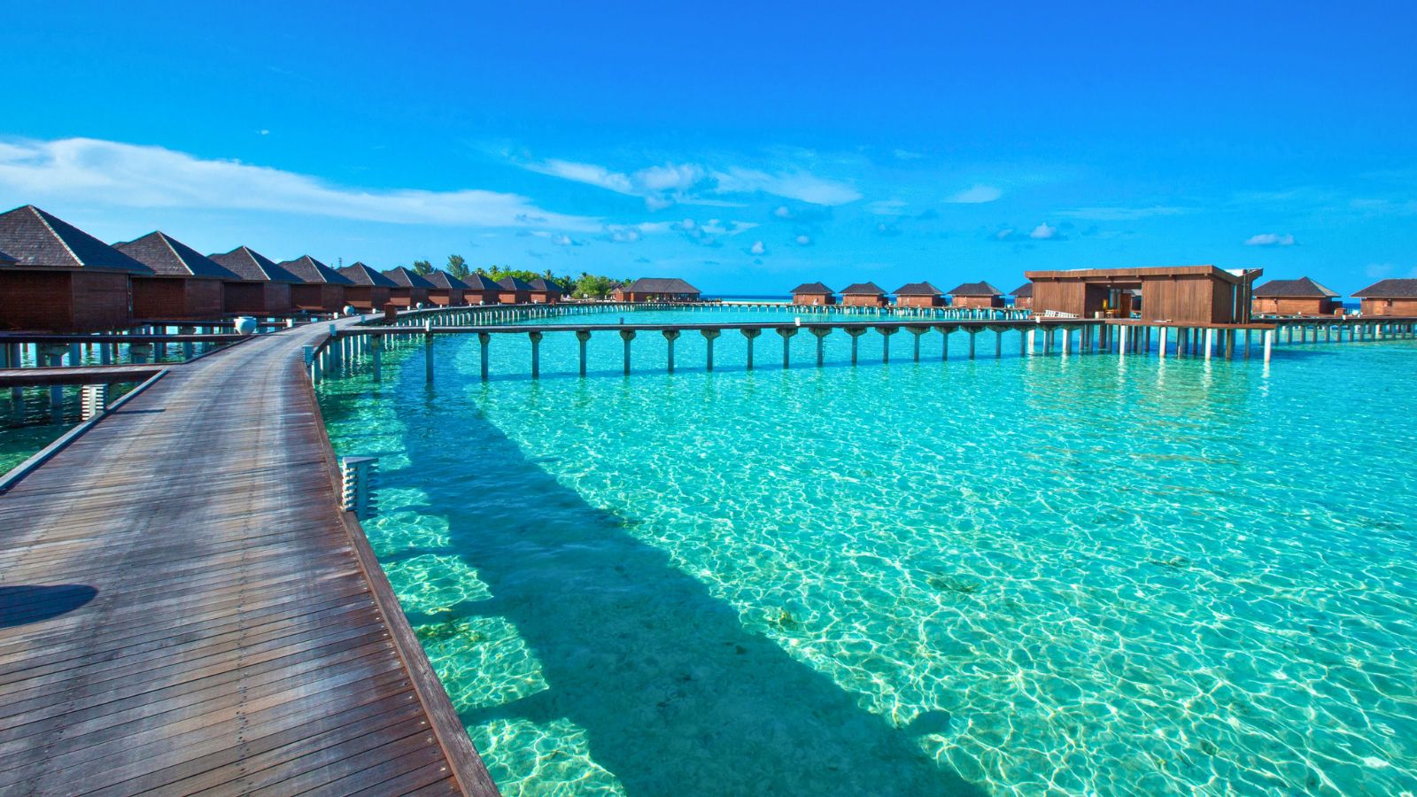 <p><span>No list of destinations with the best beaches in the world would be complete without the Maldives. This inimitable Indian Ocean archipelago is famous everywhere for its beaches and</span> <a href="https://www.whatsdannydoing.com/blog/overwater-bungalows"><span>overwater bungalows</span></a><span>. Coral reefs, complete with diverse marine life, add to the appeal.</span> <span>People visit the Maldives for sublime nature, stunning views, and a taste of luxury in one of the most divine locations on the planet.</span></p>