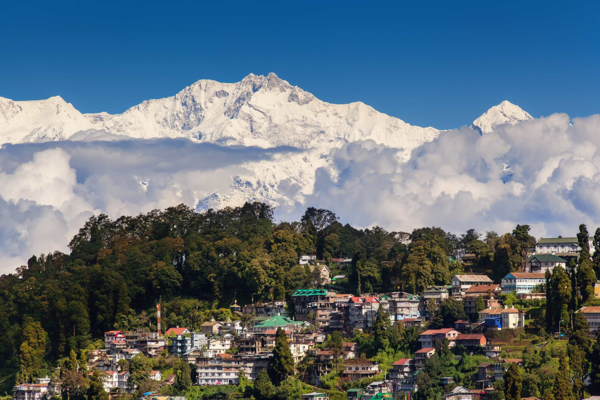 <p>World famous for its <a href="https://www.starsinsider.com/lifestyle/136590/30-fascinating-facts-about-tea" rel="noopener">tea</a> industry, Darjeeling is located in the state of West Bengal, in the Lesser Himalayas, at an elevation of 2,000 m (6,560 ft). It was developed as a hill station during the British Raj, and besides excellent tea provides visitors with astonishing views of the world's third highest mountain peak, Kanchenjunga.</p><p>You may also like:<a href="https://www.starsinsider.com/n/404127?utm_source=msn.com&utm_medium=display&utm_campaign=referral_description&utm_content=470081v2en-en"> Predictions from 1900 that did (and didn't) come true </a></p>