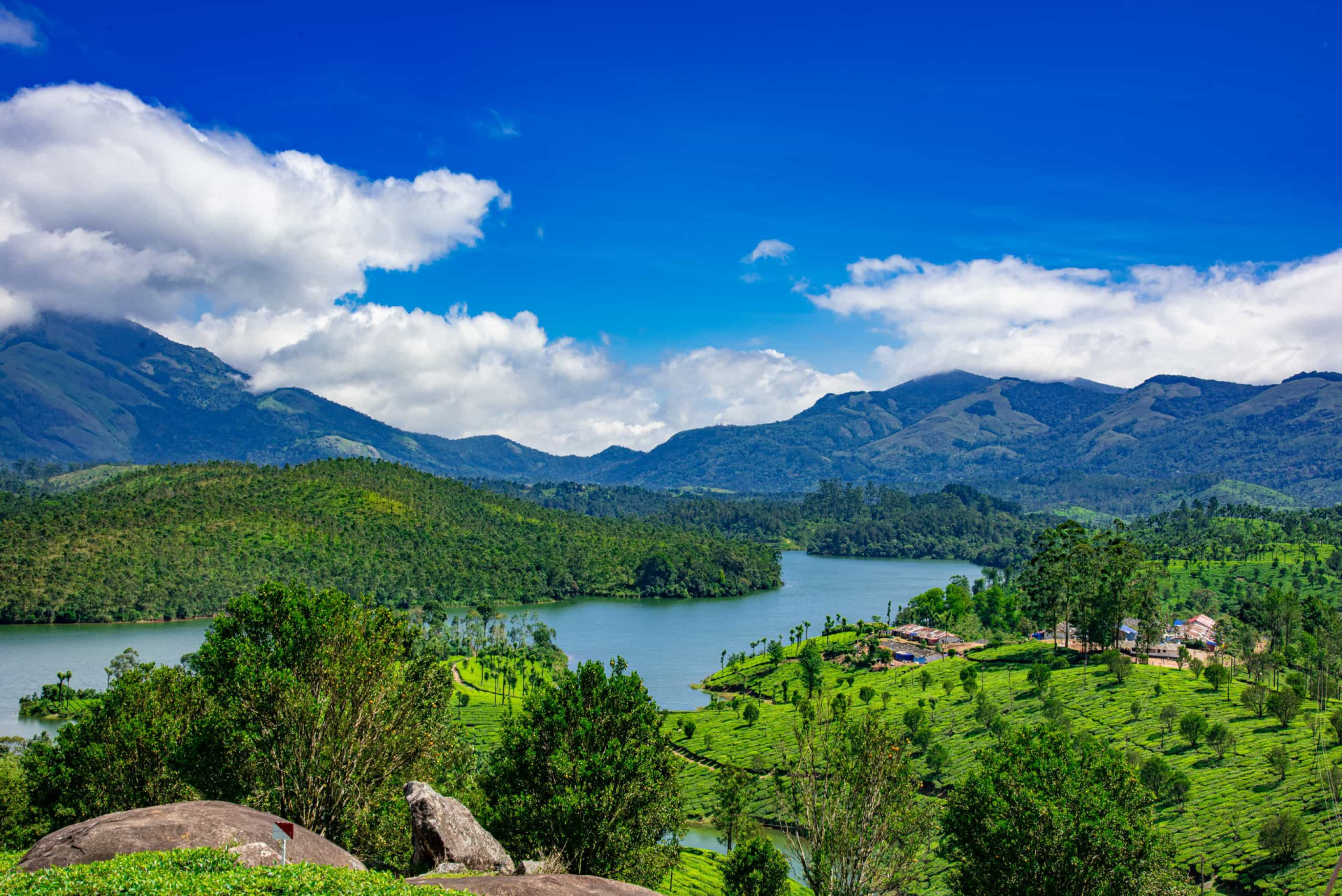<p>Kerala's Munnar hill station squats on the Western Ghats mountain ranges in Idukki district 1,600 m (5,249 ft) above sea level, overlooking vast swathes of tea plantations. The vibrant greenery is simply overwhelming!</p><p>You may also like:<a href="https://www.starsinsider.com/n/246320?utm_source=msn.com&utm_medium=display&utm_campaign=referral_description&utm_content=470081v2en-en"> Actors who were way too young or too old for their roles</a></p>