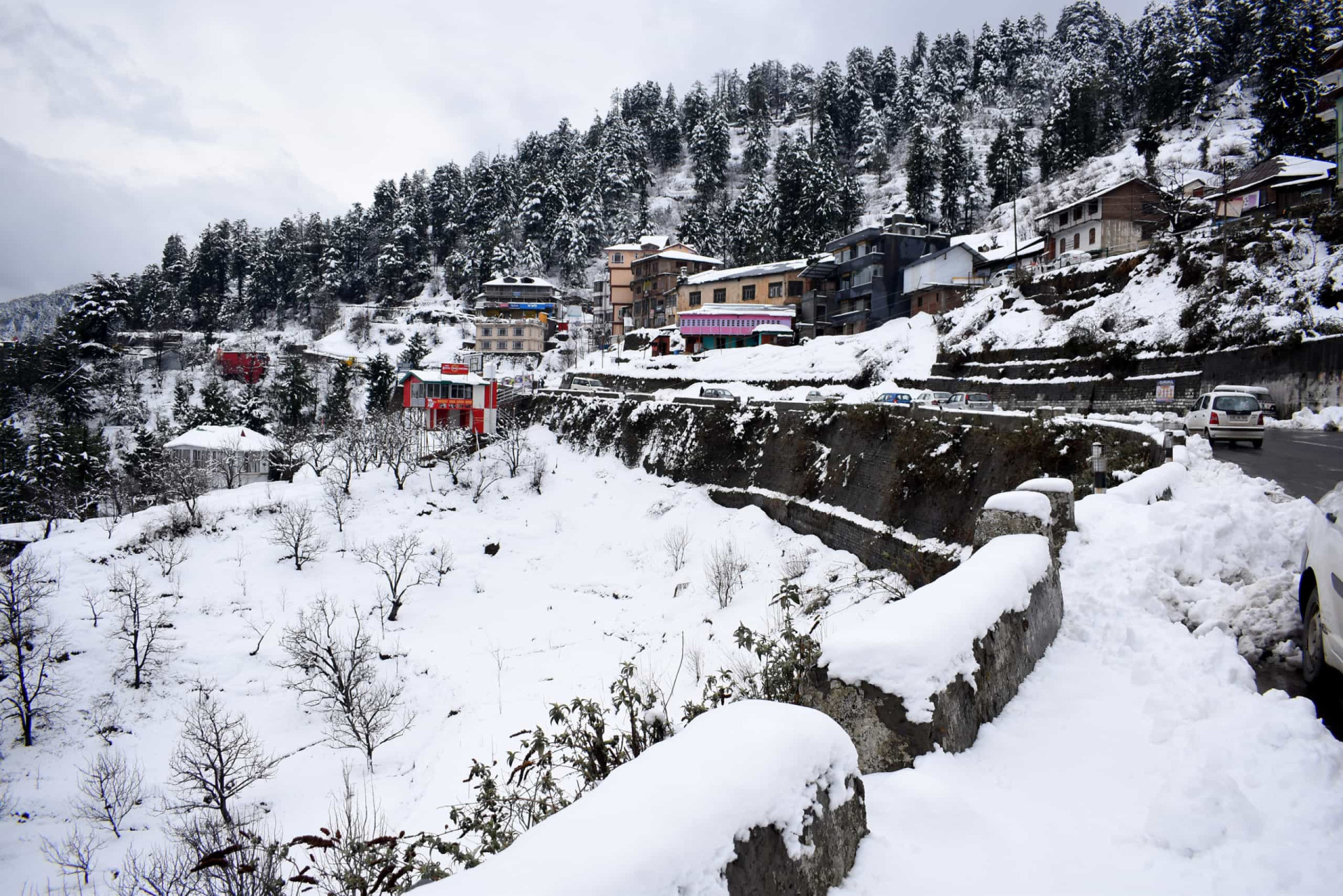 <p>Kufri, a hill station in the district of Shimla, is suitably set on the highest point in the state of Himachal Pradesh. A skier's paradise, Kufri also woos wildlife enthusiasts with its Himalaya wildlife zoo, home to the exotic Himalayan monal, the national bird of Nepal, among other species.</p><p>You may also like:<a href="https://www.starsinsider.com/n/428063?utm_source=msn.com&utm_medium=display&utm_campaign=referral_description&utm_content=470081v2en-en"> The worst crime committed the year you were born</a></p>