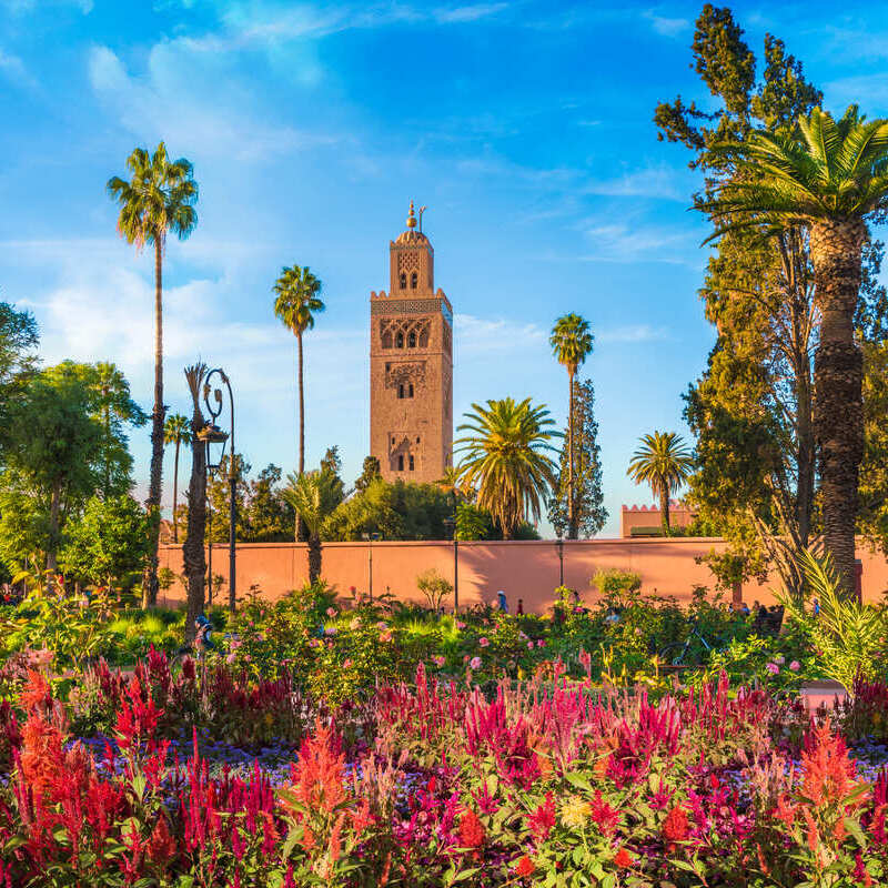 Koutobia Mosque Seen From The Marrakech City Gardens, Marrakech, Morocco, North Africa