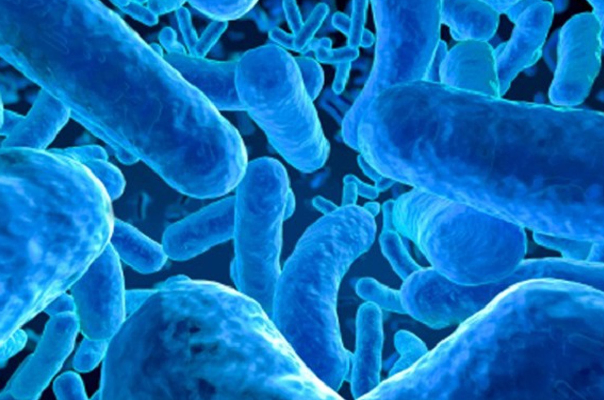 probióticos para diarreia: tipos e benefícios